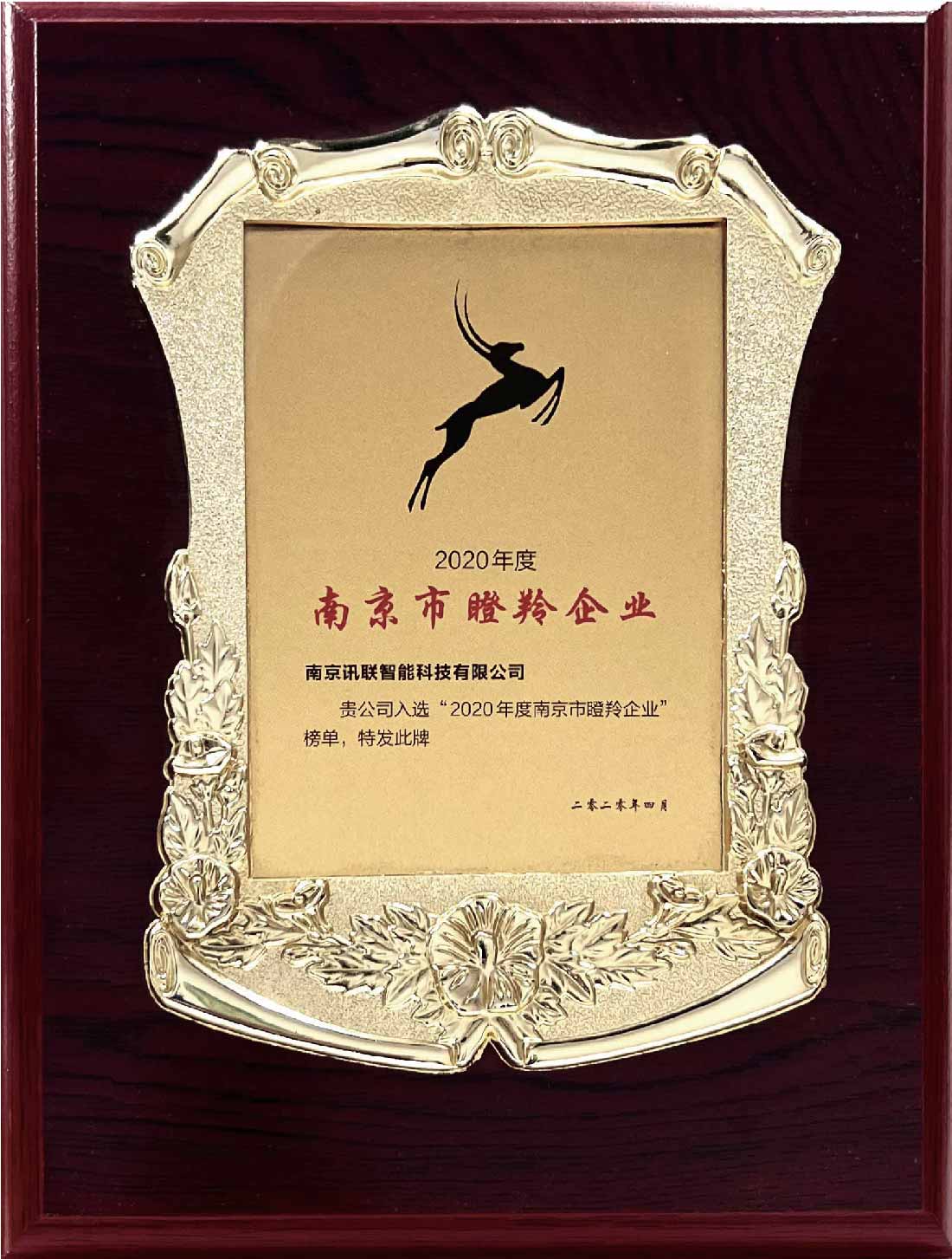 20南京市瞪羚企业